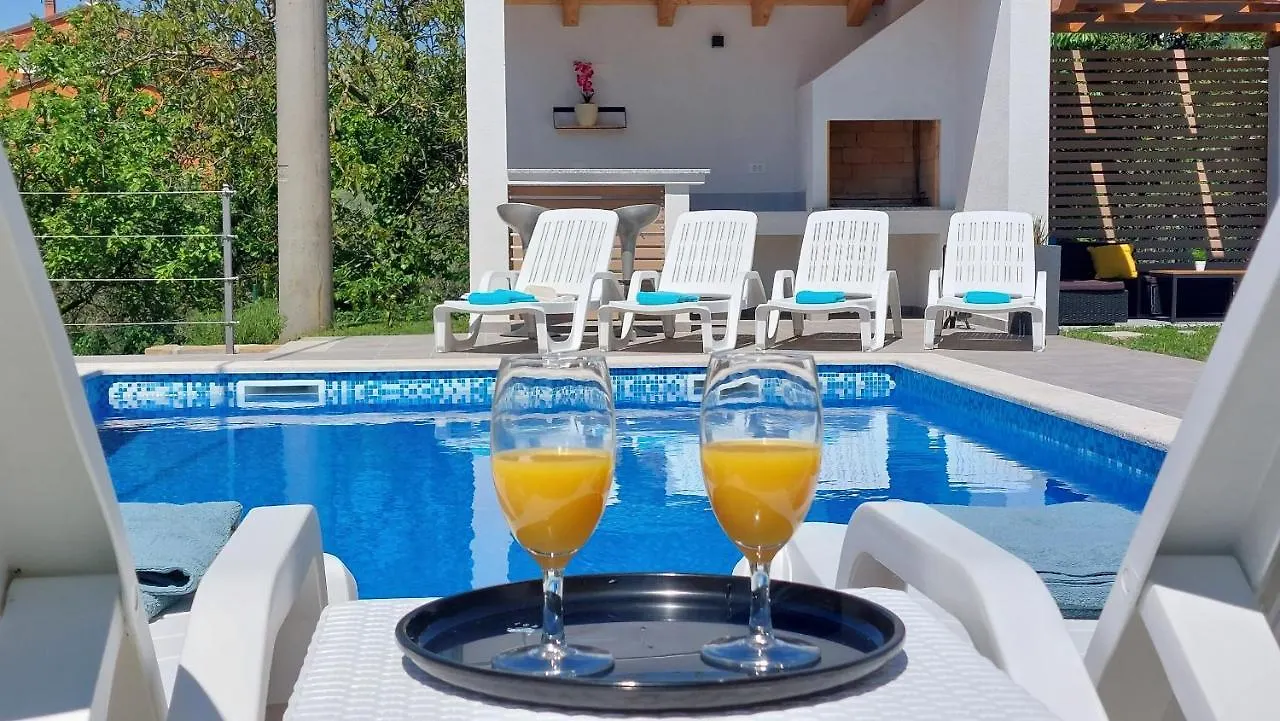 Villa Amoena With Pool And Sauna Brtonigla